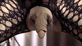 Clitoris De Maduras, Porque Sí, Polla Enorme Madura