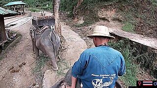 Elephant Riding In Thailand With Teens