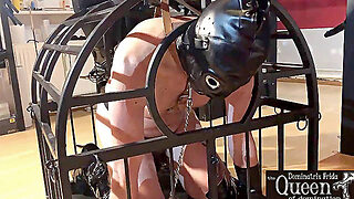 Goddess Dominatrix Frida (Cage) Bdsm Fetish Chastity Box