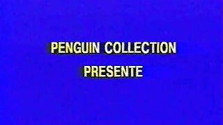 Full Movie, French, Amateur