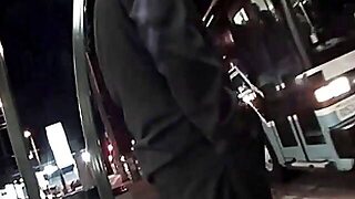 バス, バイブレーター, 公共, 現実