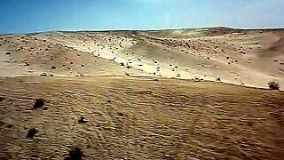 Classic, Oil, Vintage, Ass