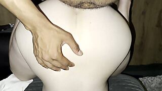 18, Brytyjskie, Samochód, Na Pieska