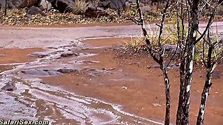 Autóban Milf, Háziasszony Harisnya