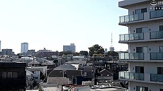 Turkki, Äiti, Japanilainen, Kypsä