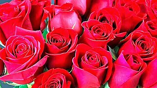 Bangla, Teta, Desi, Indky