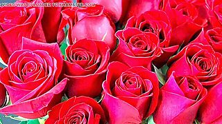 Bangla Choto Golpo Hot Marvelous New Bangla Choti Golpo Utter Story In Bangla Audio Choto Golpo