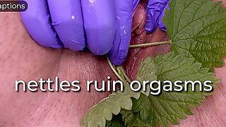 Nettles Ruin Orgasms - Captioned