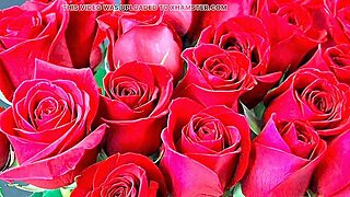 Bangla, Desi, Cheating, Mature