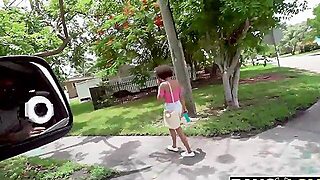 Avtobus, Po Pasje, Temnopolti, Črnke