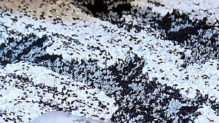 Botella, Juegos, Corridas Femeninas, Besando