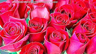 Bangla Choto Golpo Fresh Bangla Choti Golpo Utter Bangla Choti Golpo New Full Bangla Choti Story