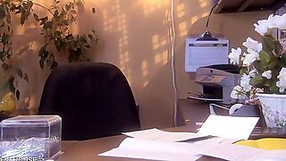 Titkárnő, Iroda, Otthoni, Harisnya