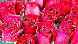 Bengalí, Desi, Erotico, Maduras