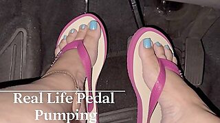 Szivattyú, Fenekelés, Láb, Agytestű