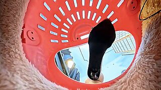 Vr 360 Cc High-Heeled Sandals Crushed And Humiliated The Dwarves In The Cage