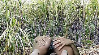 Fucking In The Sugarcane Field