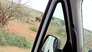 Hawt Natural Black Babe Gets Screwed Coarse In The Backseat After Begging For White Knob