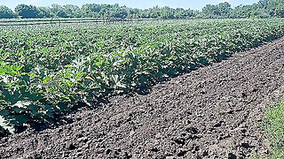 Eten, Russisch, Mager, Buiten