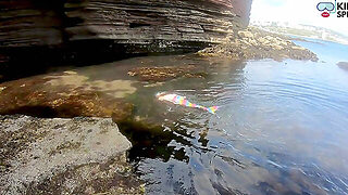 Mermaid Spotted! Wet Encounter In Lost Cove