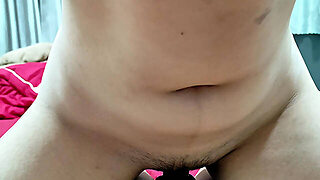 The Collection Is A Collection Of Daily Life