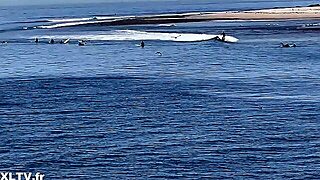 French Beurette, French, Orgy, Reality