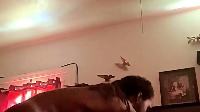 Cheating Big Booty Ebony Wife Fucks Bbc On Lunchbreak