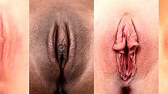 Pussy Close Up Collections