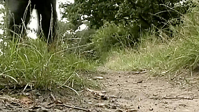 Satisfying Two Unplugged Desires At Once