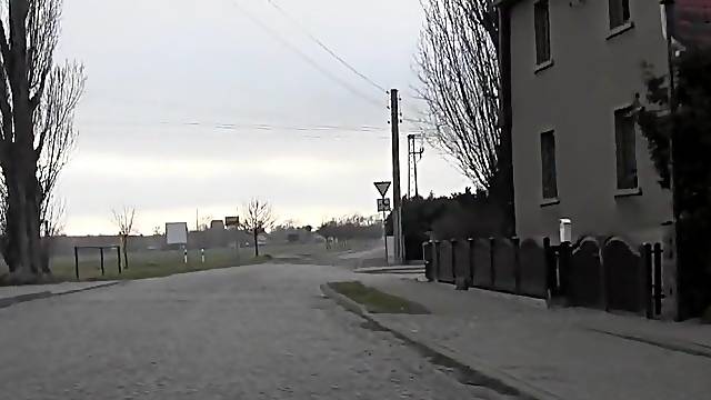 Polish Prostitute Oral Pleasure - Twenty Euro