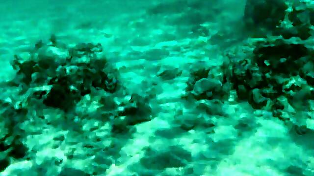 My Bare Diving On A Public Beach - Rate What I Can Do Underwater