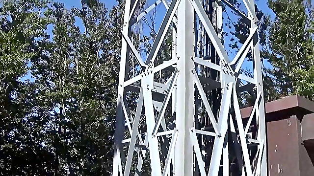 Swinger, Housewife, Wife, Orgasm