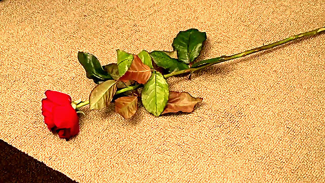 18 Year Old First Time Anal With Big Cock In Her Tight Ass