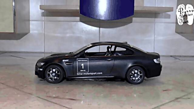 Food, Car, Feet, Black