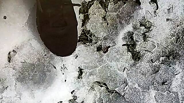 Kajenje, Mišice, Fetiš