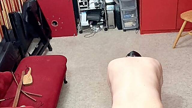 Some More Fun And Games In My Chambers