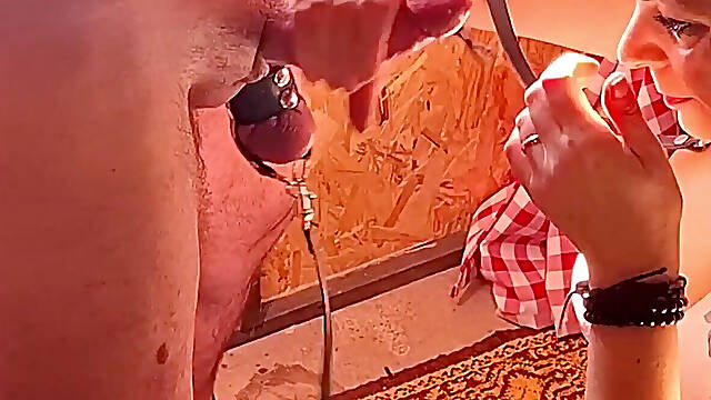 Stranisce, Gospodinja, Mož, Rogonosec